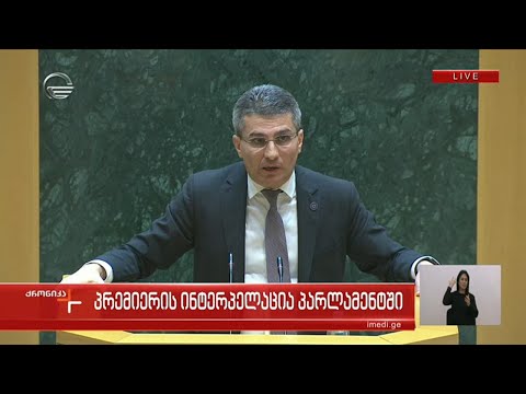 მამუკა მდინარაძის სიტყვით გამოსვლა პარლამენტში